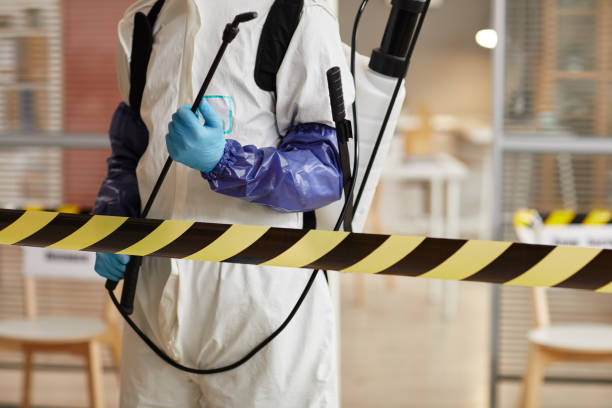 Professional Hoarding Cleanup technician working in Harrisburg, OR